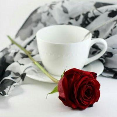 cc57b3b0cf1a4e8's profile picture. 