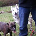 Cecil Lee - @Cecil_Alf_Lee - Twitter