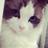 DatMusti's profile image