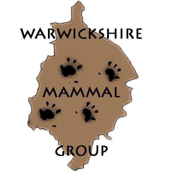 Recording and monitoring mammals in Warwickshire, Coventry and Solihull