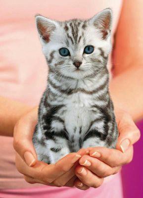 stellamartin170's profile picture. ...