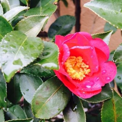 趣味なんぞ多すぎて書ききれんわ。