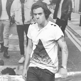 harrybeaut's profile picture. 