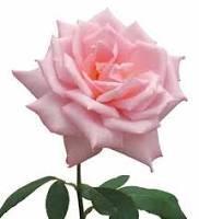 ‏‏‏‏‏، ٱلِلہــٰـمےُ صُلِ ؤسِْلمےُ عِلى نِپْينٱ مُحِمُد،ﷺ،