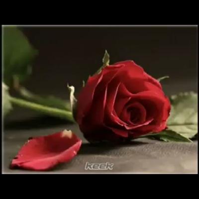 لاإله إلاانت سبحانك إني كنت من الضالمين سبحان الله وبحمده عدد خلقه ورضى نفسه وميداد كلماته وزنة عرشه سبحان الله والحمدلله ولاإله إلا الله والله اكبر