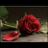 mona5401's profile image
