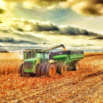 ontario farm kid working with the fam to make a living! if it ain't it ain't mean! we are producing crops to feed the world not destroy it!