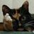 boucher1113's profile image