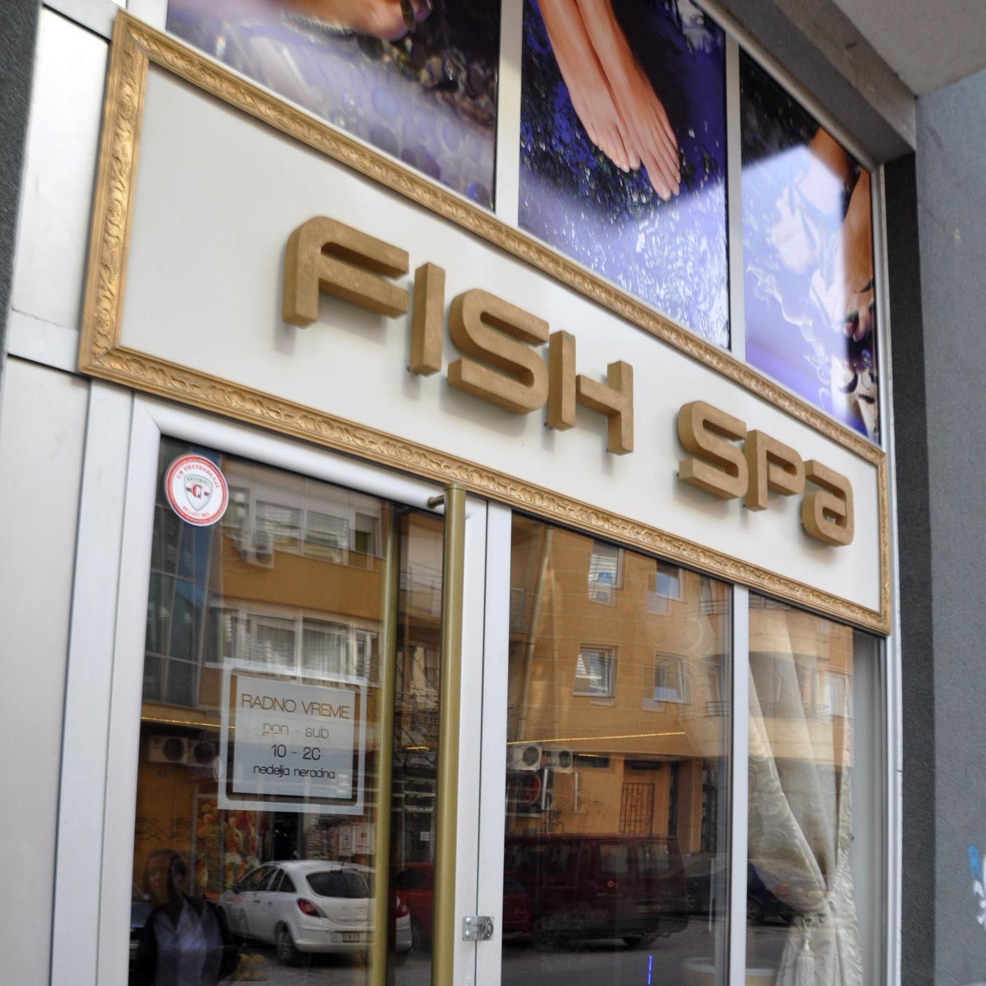 fishspacentar's profile picture. +381628454526