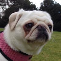 Ian Cowley (@thecowleys) 's Twitter Profile Photo Ian Cowley (@thecowleys) 's Twitter Profile Photo