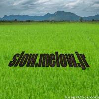 @junior_slowID (@slow_melowid) Twitter profile photo