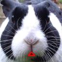 Roland Miller - @nonexistingdino - Twitter