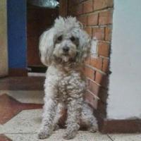 Angie (@fbd0a86c2c7e42b) 's Twitter Profile