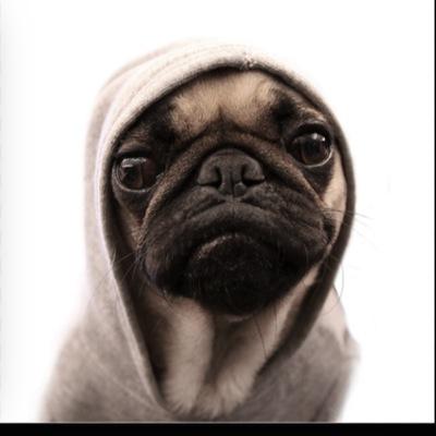 christi07498390's profile picture. Watch DANTDM & THE YOGCAST