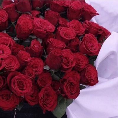‏نــكـتب اوجــاعنا.. ونـحـن نـعـلـم بأن الــكـتـابه ليـسـت سـبـيـلا لــ مـحـوهـا... ولــكن.. وجــع مــكــتـوب خير من وجــع مــكــبــوت.