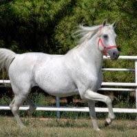 ------12 (@astar75778gmai1) 's Twitter Profile