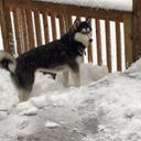 Eric Swearingen - @e_swear - Twitter