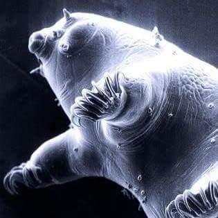 giltler's profile picture. 