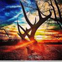 brian ligon - @lifestar507 - Twitter