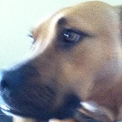 ConnotRiggins's profile picture. 