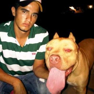 valera_josue's profile picture. 