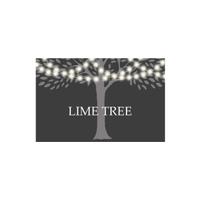 Lime Tree (@limetree2015) 's Twitter Profile