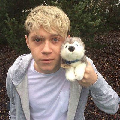 Nirma shipper ♥ Niall and Irma forever