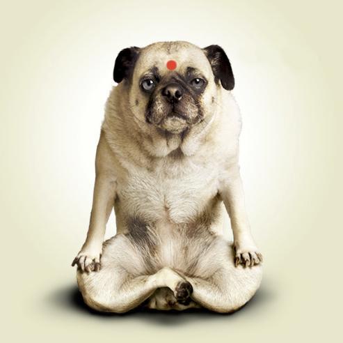 http://t.co/1DXktnLPxt - Global Yoga Community