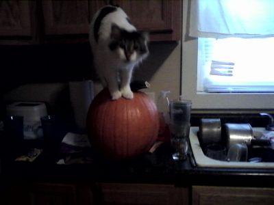 baconbacon213's profile picture. 