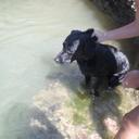 daniel andres - @daniel08andress - Twitter