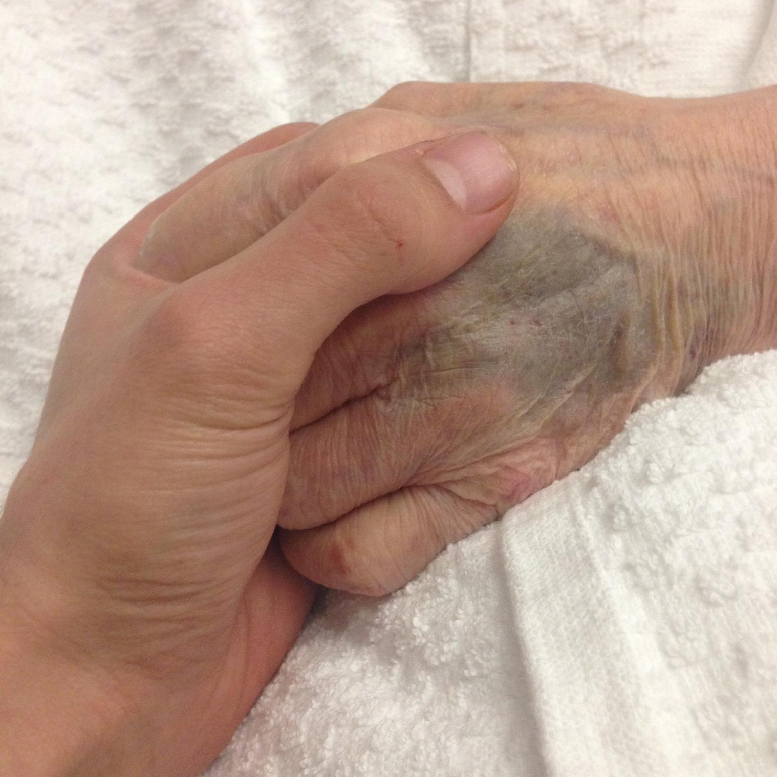 ThibaultShelley's profile picture. 