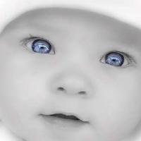 Güller Vural (@b4b7b6857b6a4dc) 's Twitter Profile