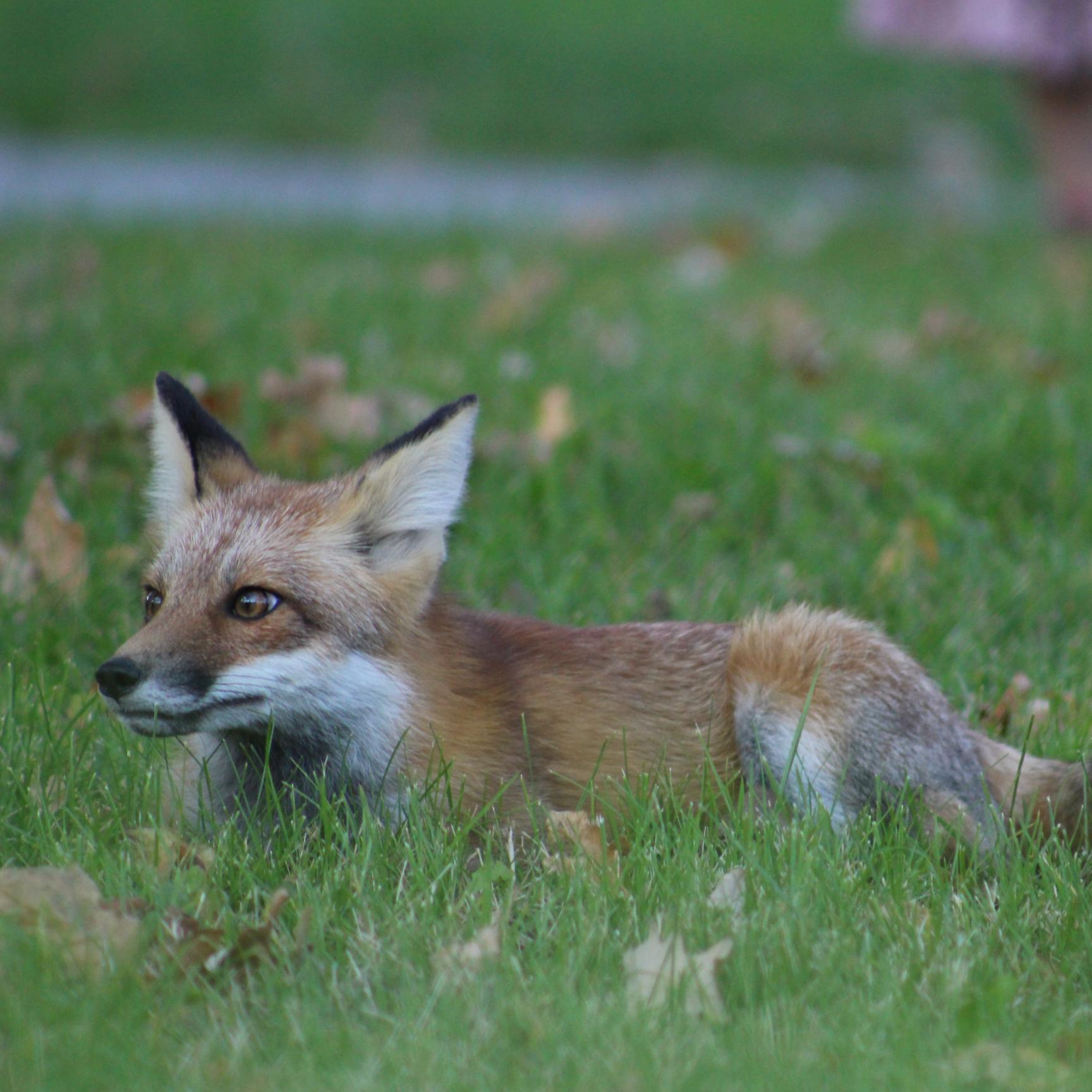 ImriYi's profile picture. 