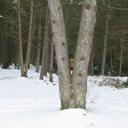 Shelley Small - @Petiteshelley - Twitter