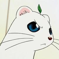 ちびコジョ (@tibikojo) Twitter profile photo