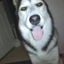 Jack Jimenez - @JSJR2011 - Twitter