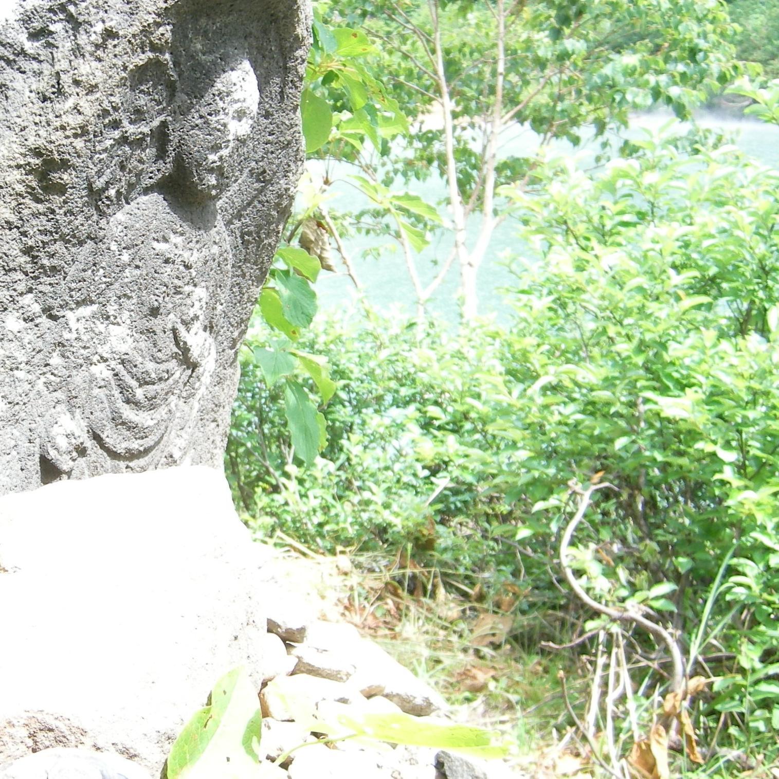 algeo_anasyn's profile picture. 学生