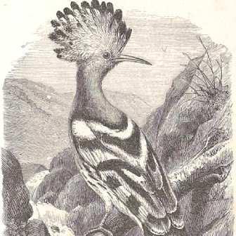 marknily's profile picture. 