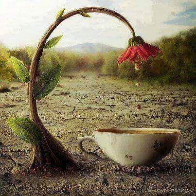 alasadduaa10's profile picture. 