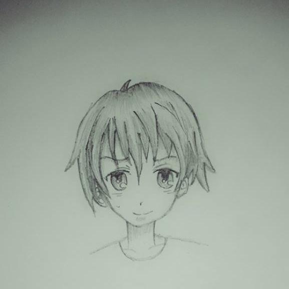 beginner programmer