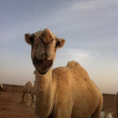 B_O_B_77's profile picture. 