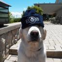 Nancy Jean Comeau - @sadielive22 - Twitter