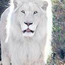  Haro  - @ReneHaro2 - Twitter