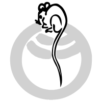 Luni Editrice (@lunieditrice) 's Twitter Profile