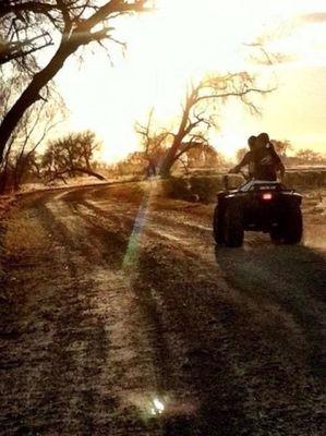 Just a country girl spoiled by her Redneck  Romeo.
avi not us.