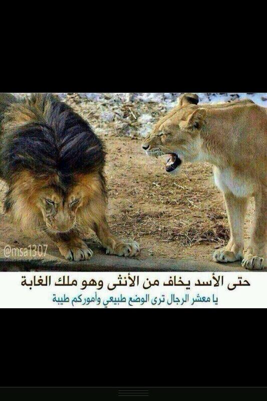 ‏‏الاحساء