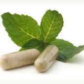 My name is Fred. In my Twitter I'll post information about kratom - articles, reviews, the results of recent research, etc.