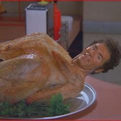 Hi my names tommy and I'm a turkey!! Lately I've been protesting....no more turkeys for thanksgiving!!!