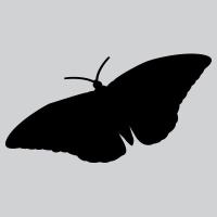 graphicartist (@graphicartist) 's Twitter Profile