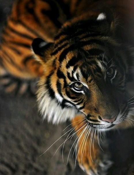 apptester201151's profile picture. 